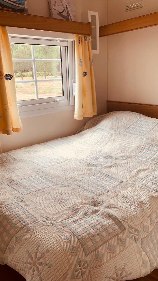Petite Maison Dans La Prairie Cabanac-et-Villagrains Екстер'єр фото